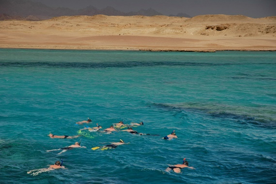 الغطس فى رأس محمد