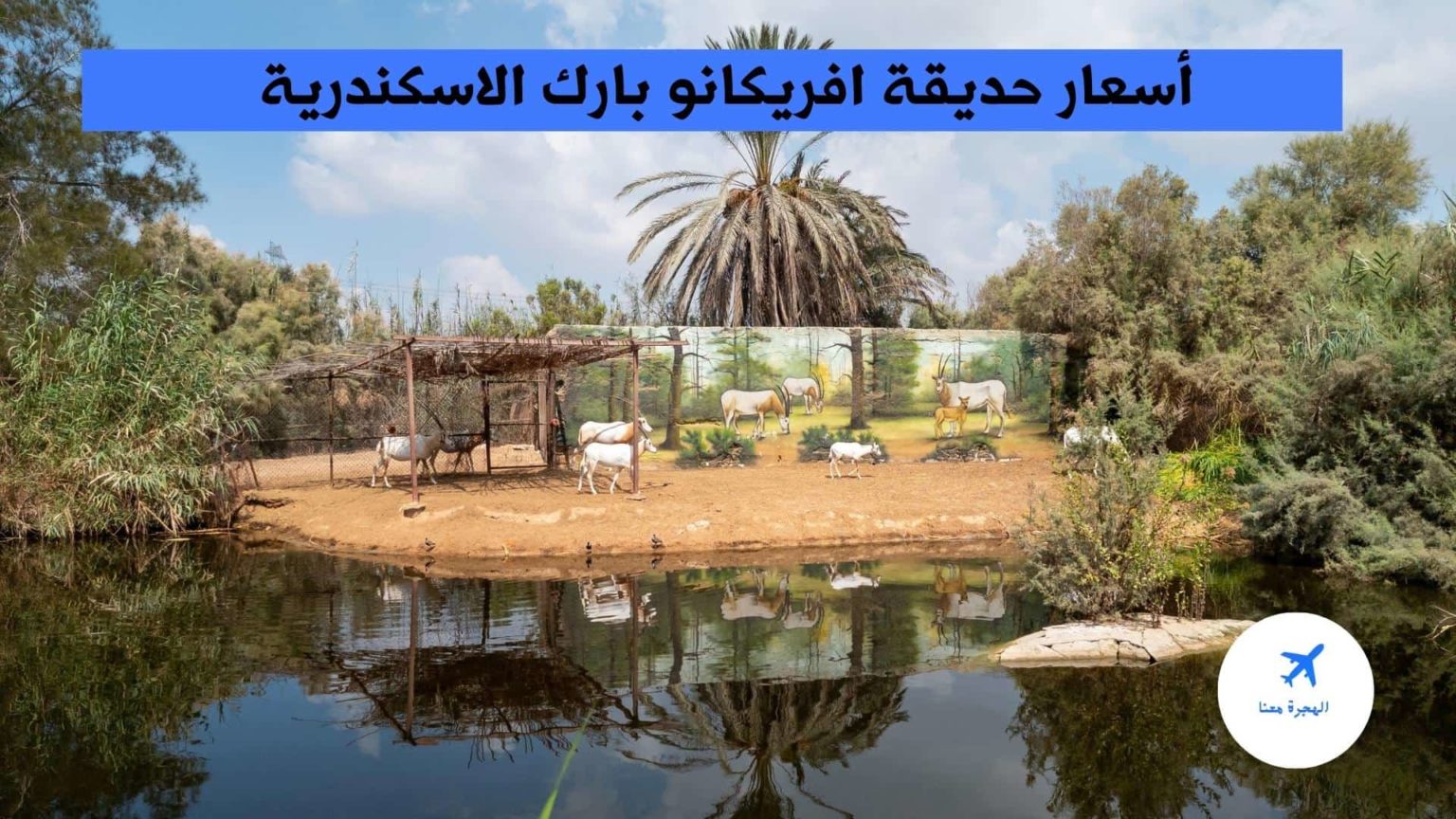 أسعار افريكانو بارك 2025