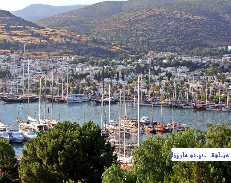 ديدم مارينا