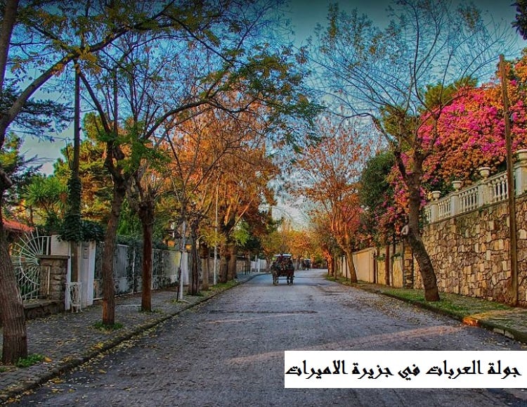 عربة الخيل جزيرة الاميرات اسطنبول