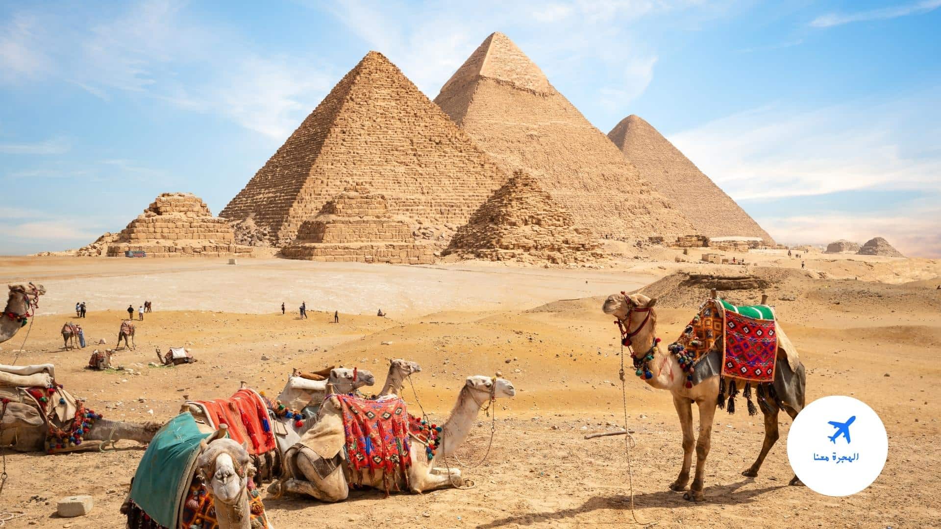 سعر ركوب الجمل في الأهرامات 2027