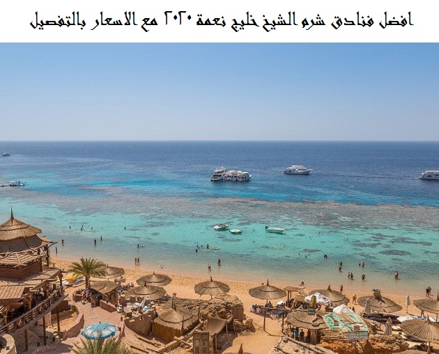 افضل فنادق شرم الشيخ خليج نعمة 2025