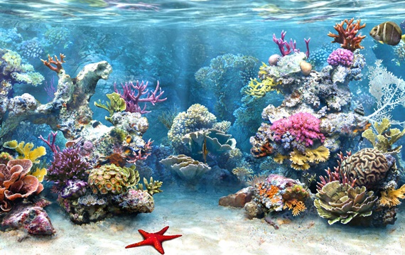coral_reef_4