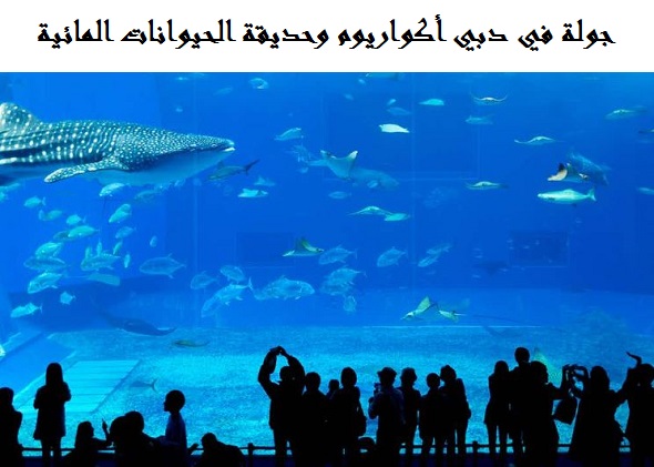 اكواريوم دبي