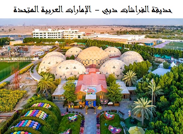 حديقة الفراشات في دبي