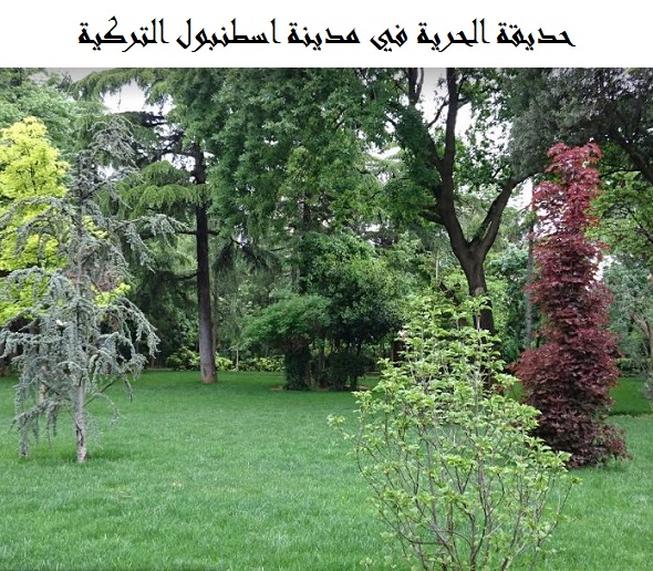 حديقة الحرية اسطنبول