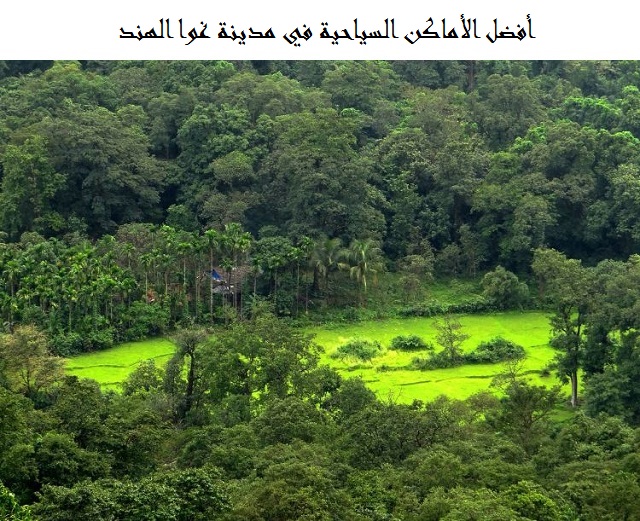 مدينة غوا الهند