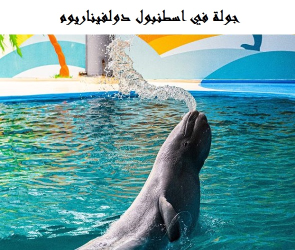 اسطنبول دولفيناريوم