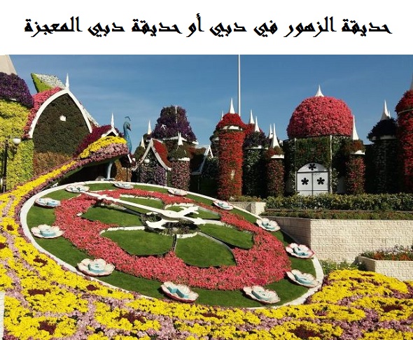 حديقة الزهور دبي ميراكل جاردن