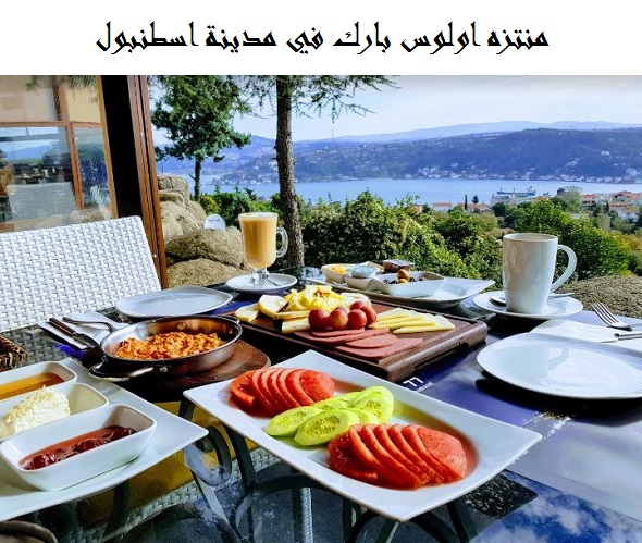 اولوس بارك اسطنبول