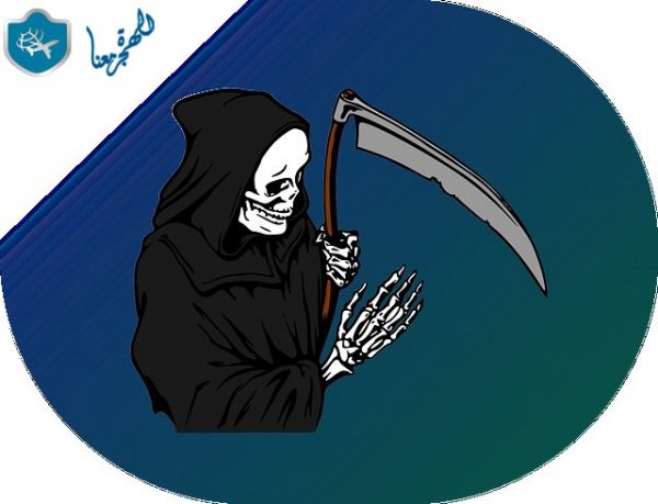 ترتيب اخطر مدن امريكا
